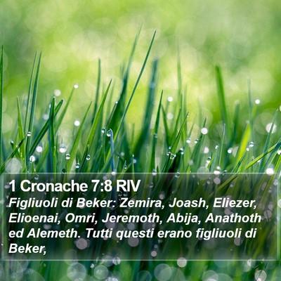 1 Cronache 7:8 RIV Bible Verse Image