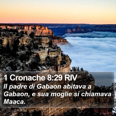 1 Cronache 8:29 RIV Bible Verse Image