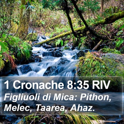 1 Cronache 8:35 RIV Bible Verse Image