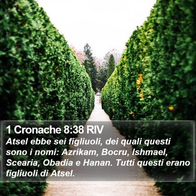 1 Cronache 8:38 RIV Bible Verse Image