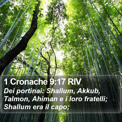 1 Cronache 9:17 RIV Bible Verse Image