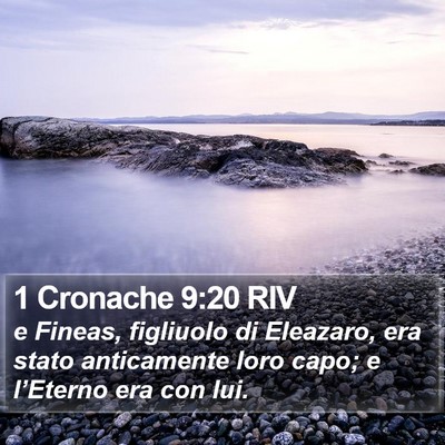 1 Cronache 9:20 RIV Bible Verse Image