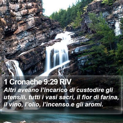 1 Cronache 9:29 RIV Bible Verse Image