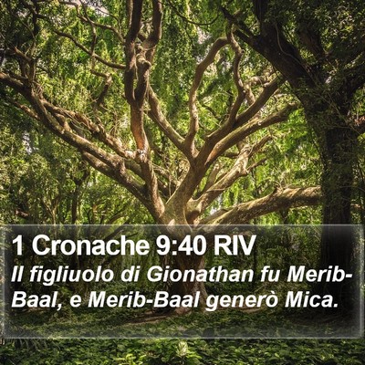 1 Cronache 9:40 RIV Bible Verse Image