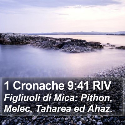 1 Cronache 9:41 RIV Bible Verse Image