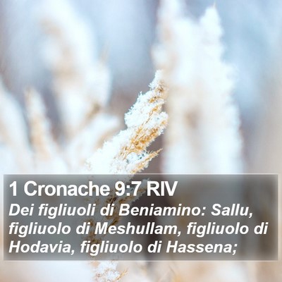 1 Cronache 9:7 RIV Bible Verse Image