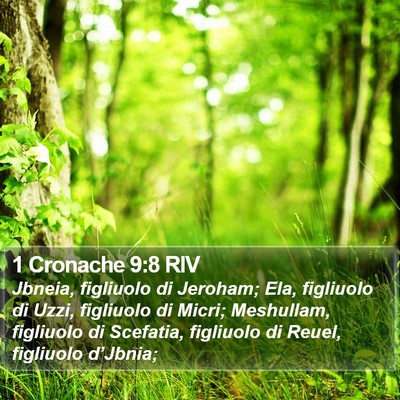 1 Cronache 9:8 RIV Bible Verse Image
