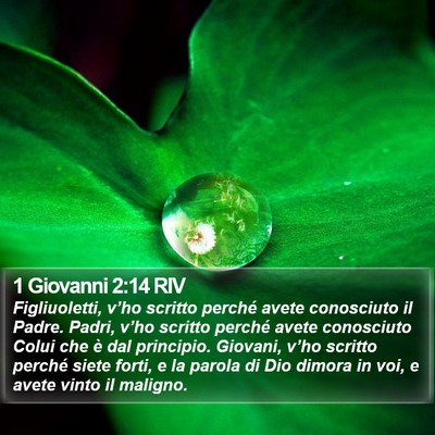 1 Giovanni 2:14 RIV Bible Verse Image