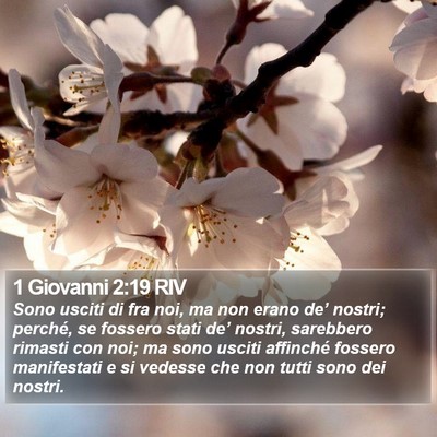1 Giovanni 2:19 RIV Bible Verse Image