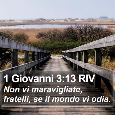 1 Giovanni 3:13 RIV Bible Verse Image