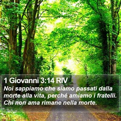 1 Giovanni 3:14 RIV Bible Verse Image