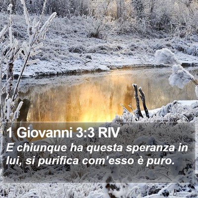 1 Giovanni 3:3 RIV Bible Verse Image