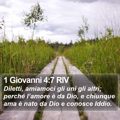 1 Giovanni 4:7 RIV Bible Verse Image