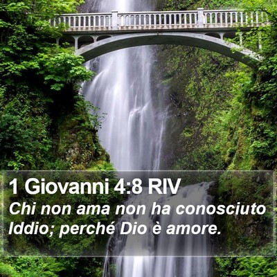 1 Giovanni 4:8 RIV Bible Verse Image