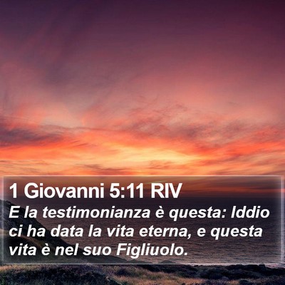 1 Giovanni 5:11 RIV Bible Verse Image