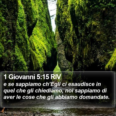 1 Giovanni 5:15 RIV Bible Verse Image