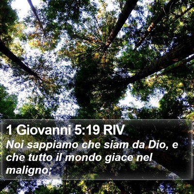 1 Giovanni 5:19 RIV Bible Verse Image