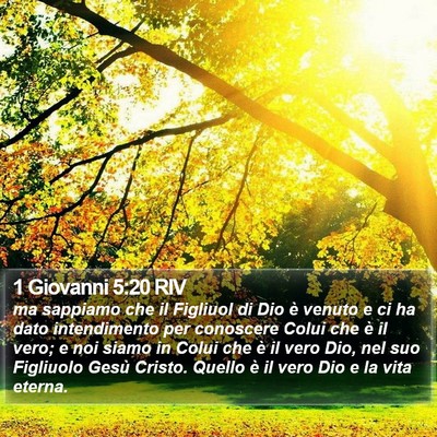 1 Giovanni 5:20 RIV Bible Verse Image