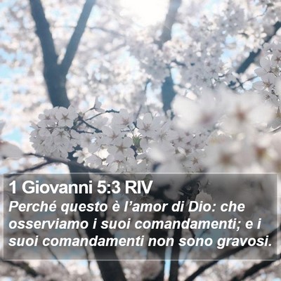 1 Giovanni 5:3 RIV Bible Verse Image