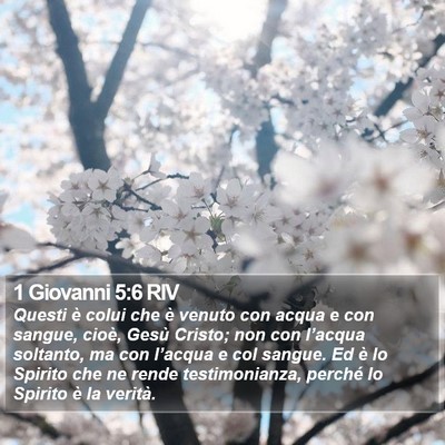 1 Giovanni 5:6 RIV Bible Verse Image