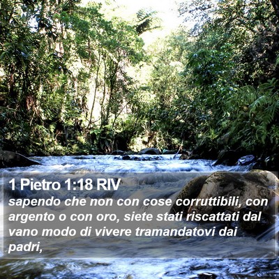 1 Pietro 1:18 RIV Bible Verse Image