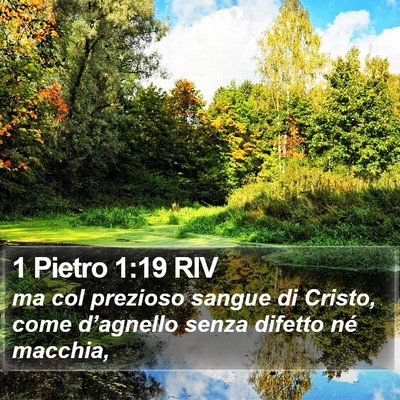 1 Pietro 1:19 RIV Bible Verse Image