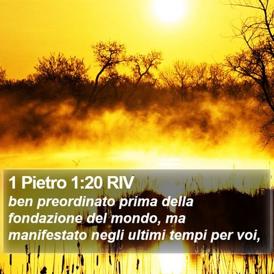 1 Pietro 1:20 RIV Bible Verse Image