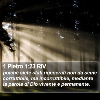 1 Pietro 1:23 RIV Bible Verse Image