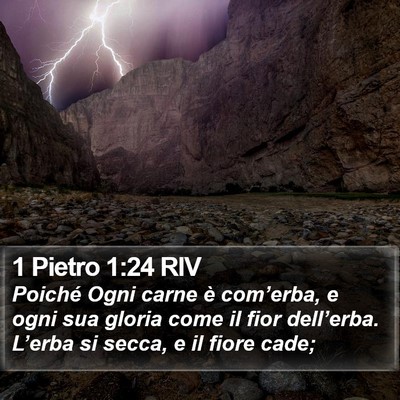 1 Pietro 1:24 RIV Bible Verse Image