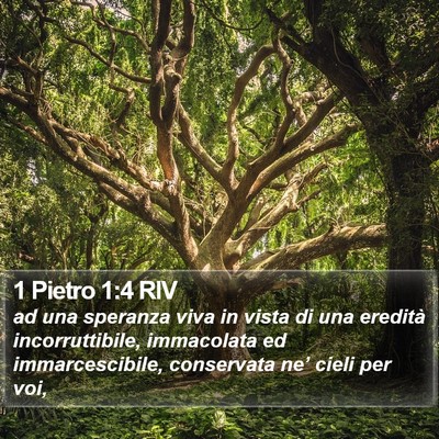 1 Pietro 1:4 RIV Bible Verse Image