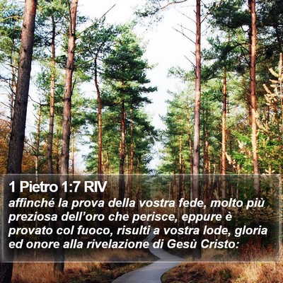 1 Pietro 1:7 RIV Bible Verse Image