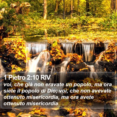 1 Pietro 2:10 RIV Bible Verse Image