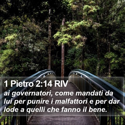 1 Pietro 2:14 RIV Bible Verse Image