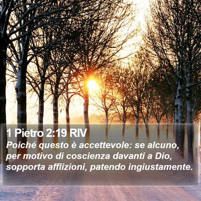 1 Pietro 2:19 RIV Bible Verse Image