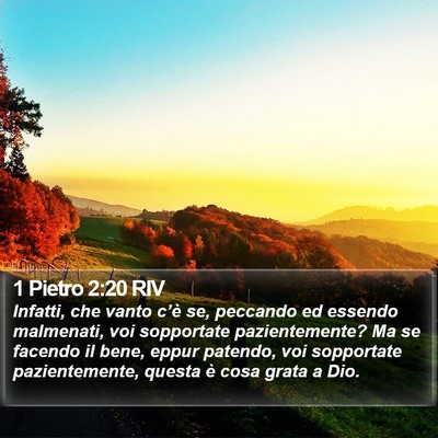1 Pietro 2:20 RIV Bible Verse Image