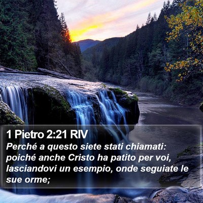 1 Pietro 2:21 RIV Bible Verse Image