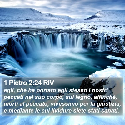 1 Pietro 2:24 RIV Bible Verse Image