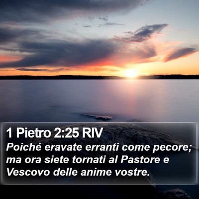 1 Pietro 2:25 RIV Bible Verse Image