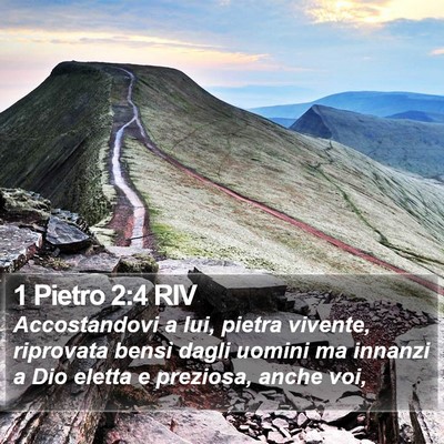 1 Pietro 2:4 RIV Bible Verse Image