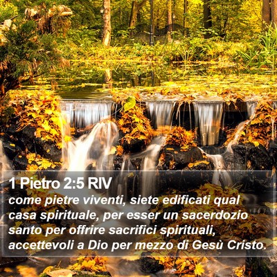 1 Pietro 2:5 RIV Bible Verse Image