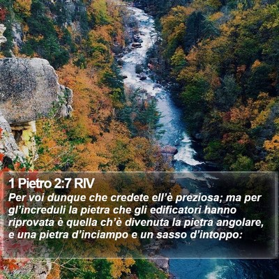 1 Pietro 2:7 RIV Bible Verse Image