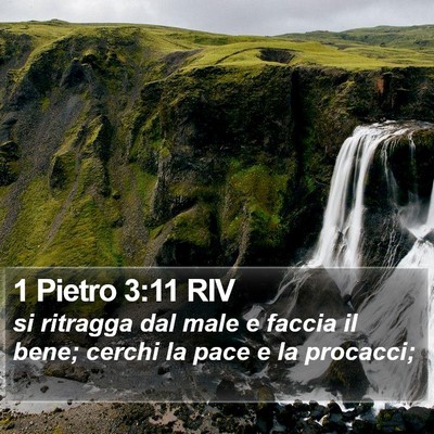 1 Pietro 3:11 RIV Bible Verse Image