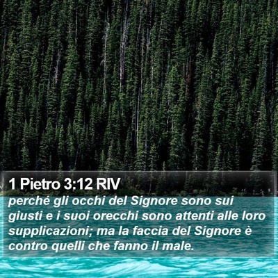 1 Pietro 3:12 RIV Bible Verse Image