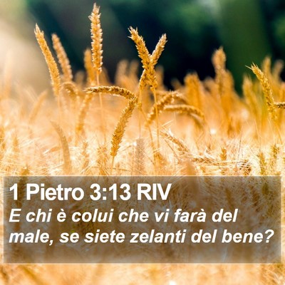 1 Pietro 3:13 RIV Bible Verse Image