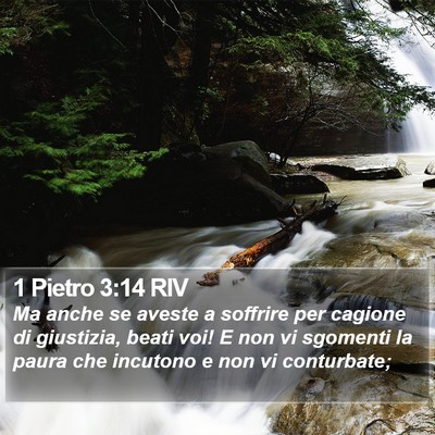 1 Pietro 3:14 RIV Bible Verse Image