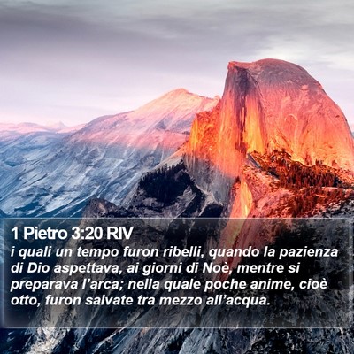 1 Pietro 3:20 RIV Bible Verse Image