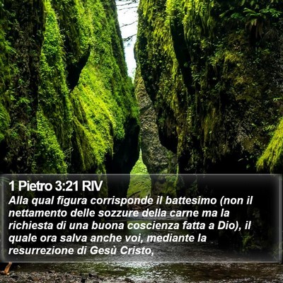 1 Pietro 3:21 RIV Bible Verse Image