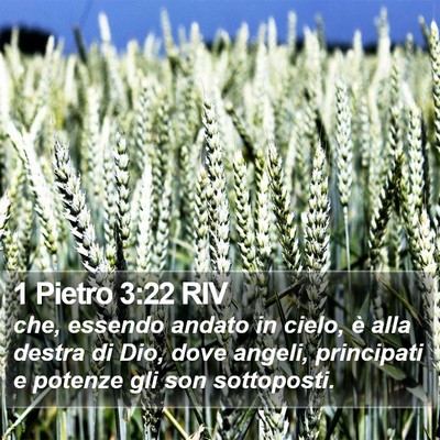 1 Pietro 3:22 RIV Bible Verse Image
