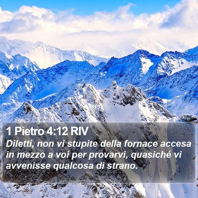 1 Pietro 4:12 RIV Bible Verse Image
