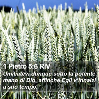1 Pietro 5:6 RIV Bible Verse Image